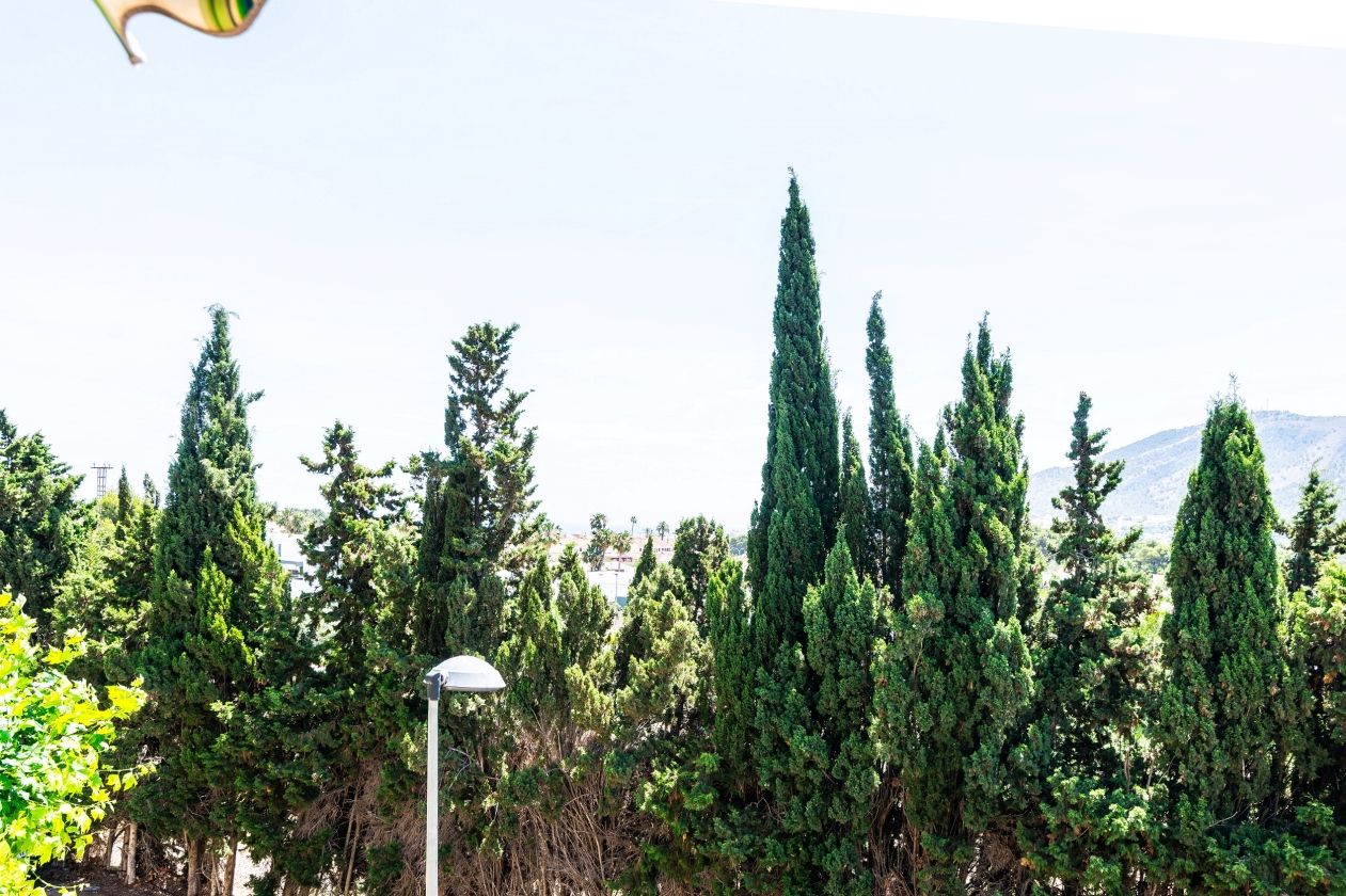 APARTAMENTO DE 3 DORMITORIOS EN VENTA EN  ALFAZ DEL PI