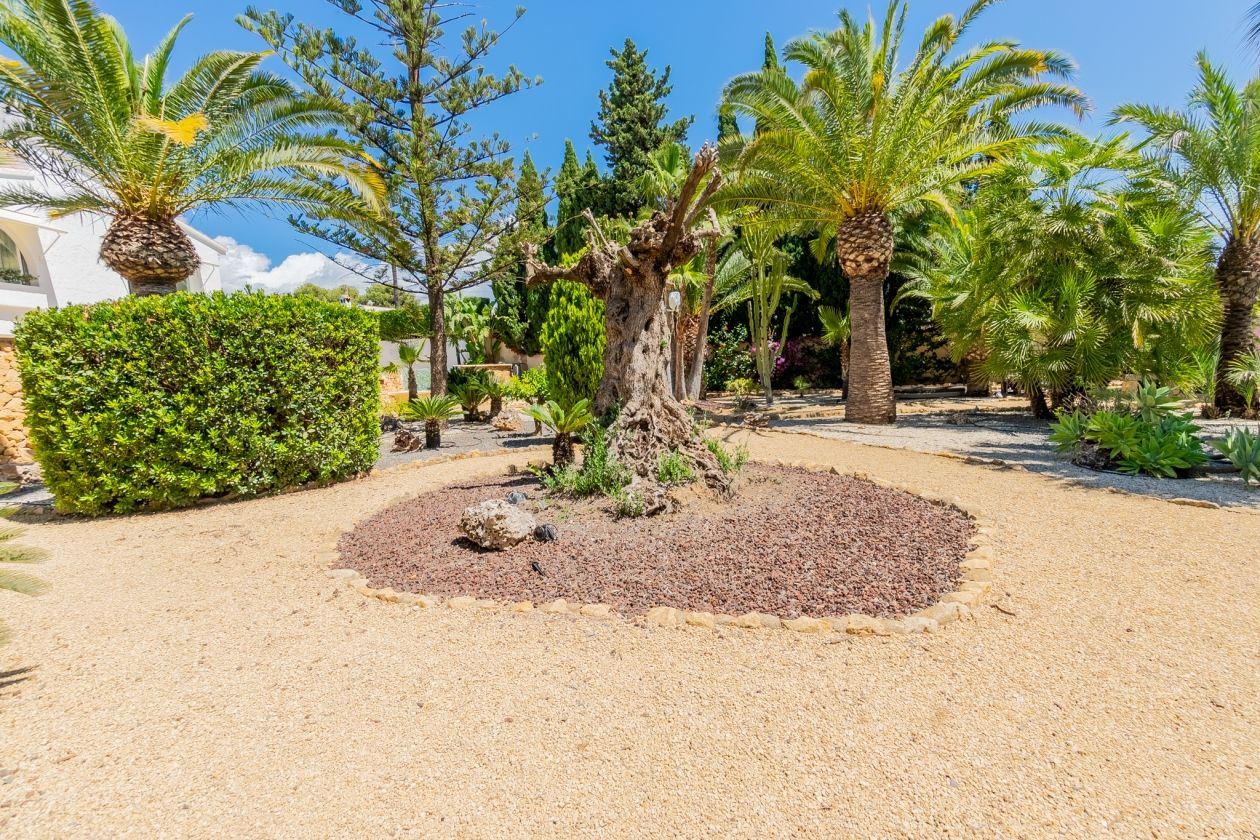 AMPLIA VILLA CON APARTAMENTO DE INVITADOS  EN VENTA EN LA NUCIA