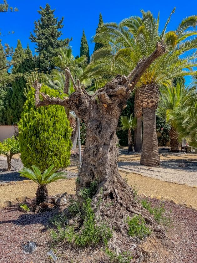 AMPLIA VILLA CON APARTAMENTO DE INVITADOS  EN VENTA EN LA NUCIA