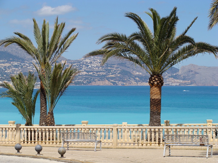 NIUEVA APPARTEMENTS IMMEUBLE PROMOTIONS À VENDRE À ALBIR