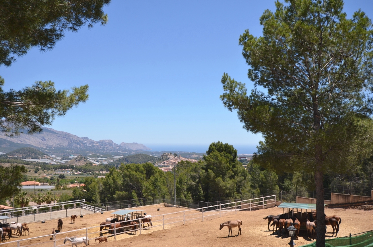 VILLA EN VENTA EN POLOP