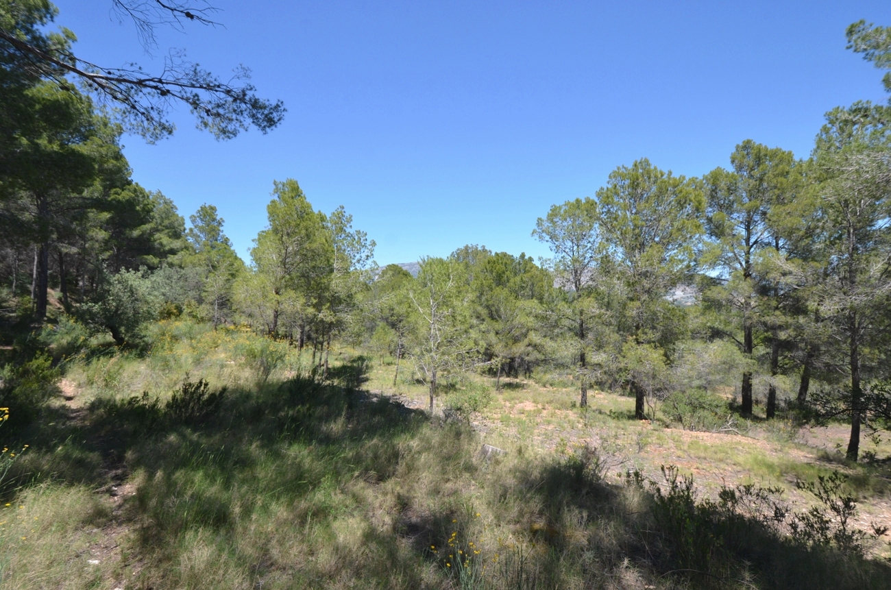 VILLA EN VENTA EN POLOP