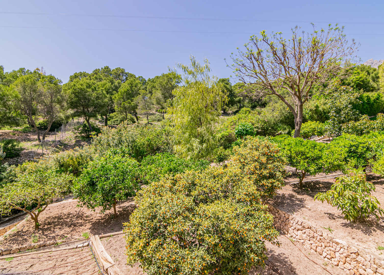 VILLA EN VENTA EN ALTEA LA VELLA