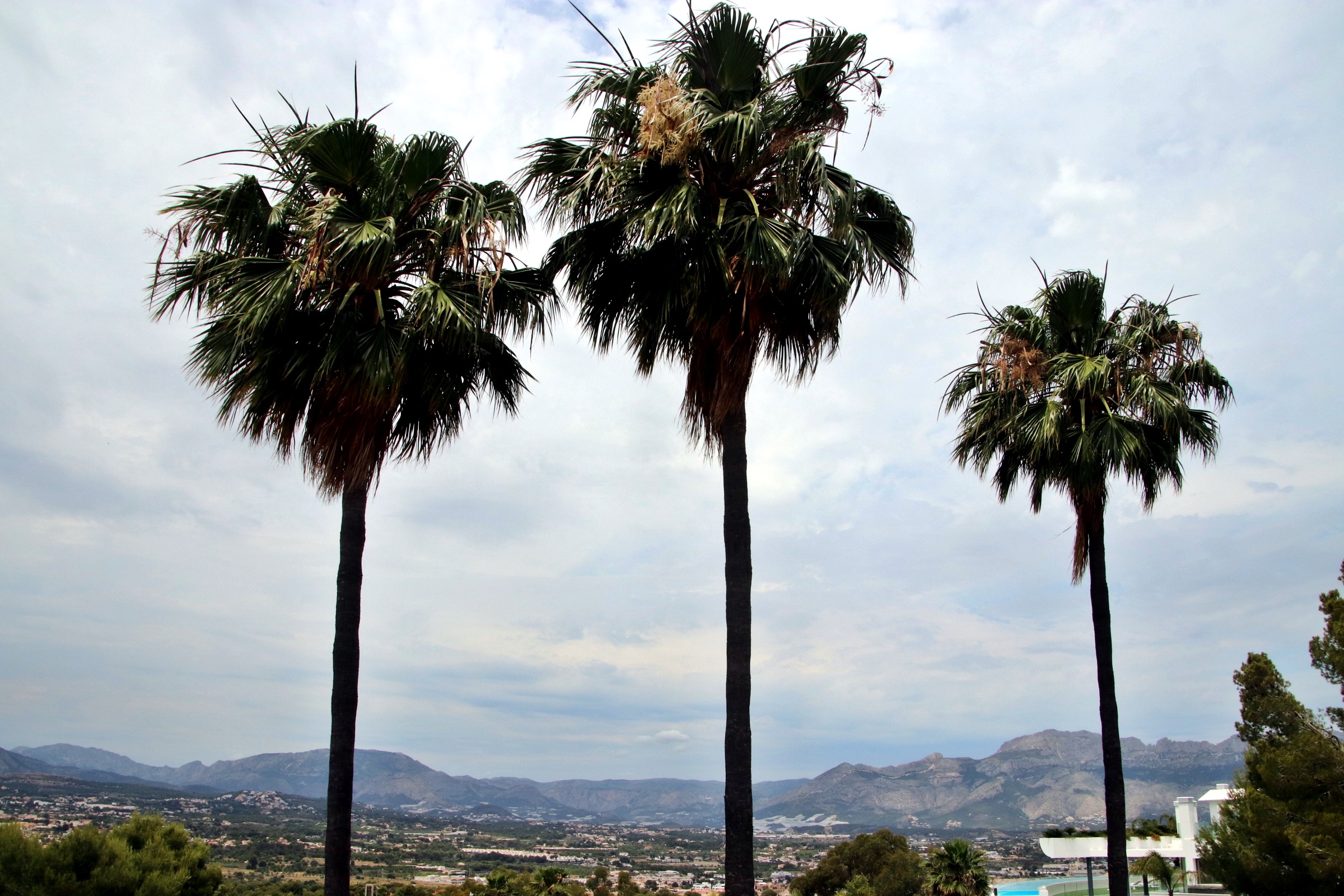 Gran villa en venta en EL Albir