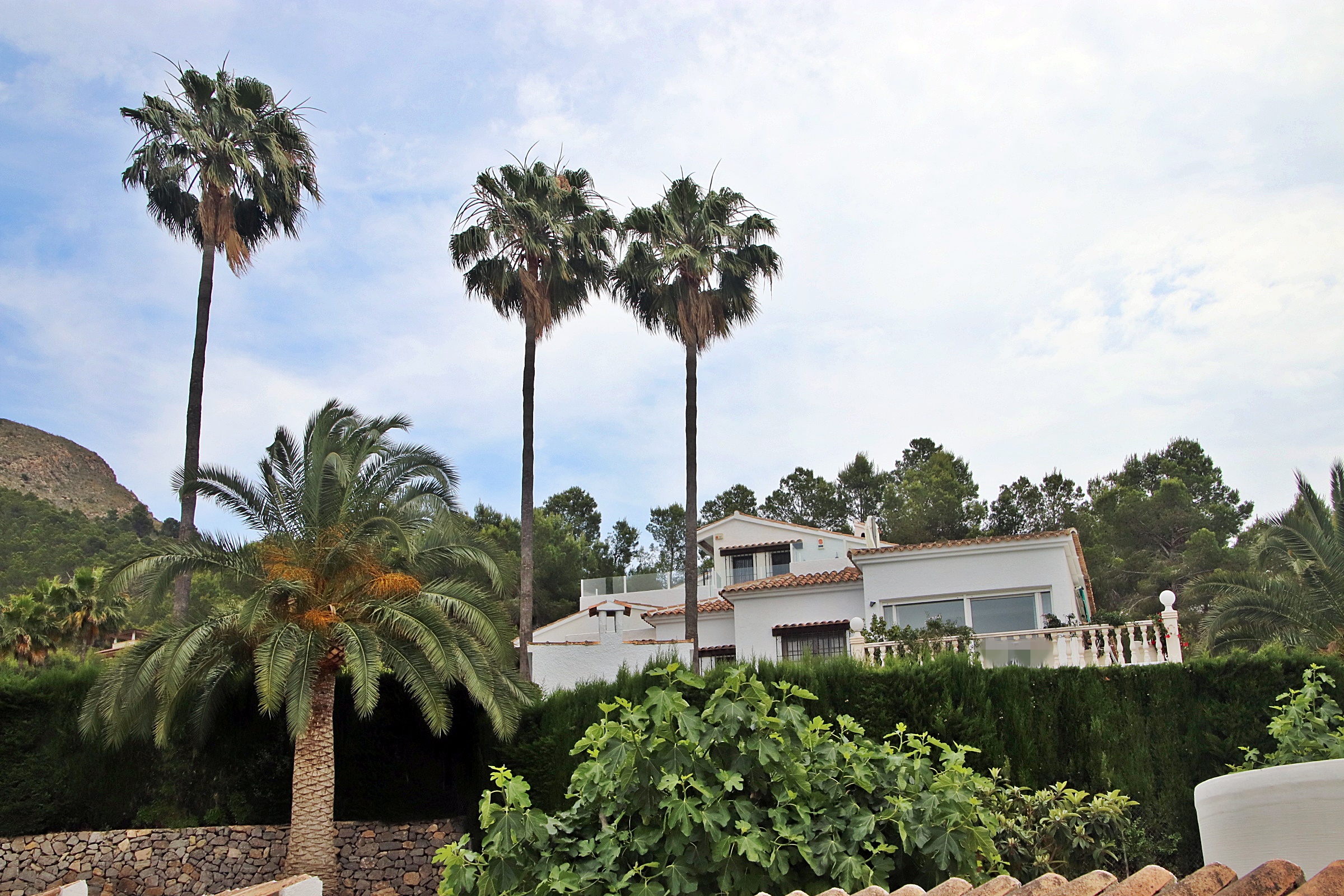 Gran villa en venta en EL Albir